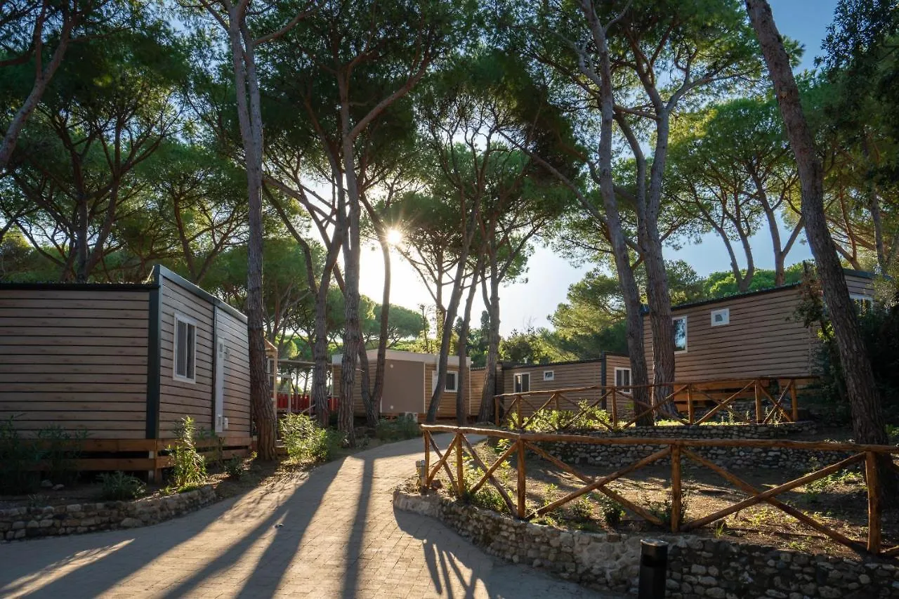Camping Il Capannino Glamping Village Marina Di Bibbona