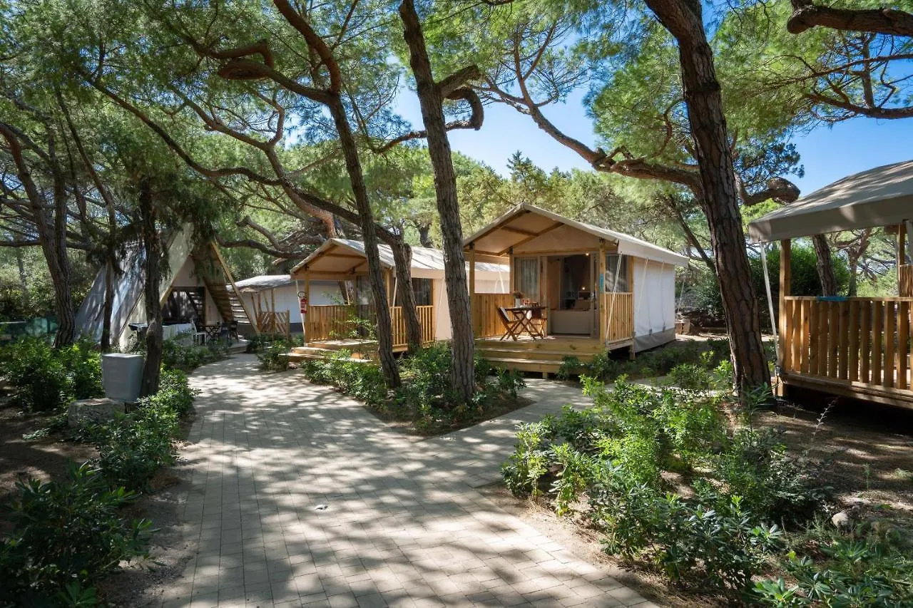 Camping Il Capannino Glamping Village Marina Di Bibbona